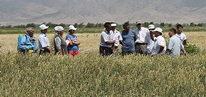 Dự án FAO thúc đẩy quản lý cây trồng hiện đại và công nghệ kiểm soát dịch hại ở Kyrgyzstan