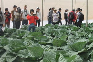 Lâm Đồng: Có thêm Trung tâm Nghiên cứu và Thực nghiệm nông nghiệp