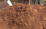 Kỹ thuật ủ vỏ cà phê làm phân bón cho cây trồng
