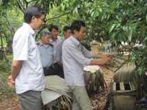 Quảng Bình: Chuyện về một lão nông nuôi ong