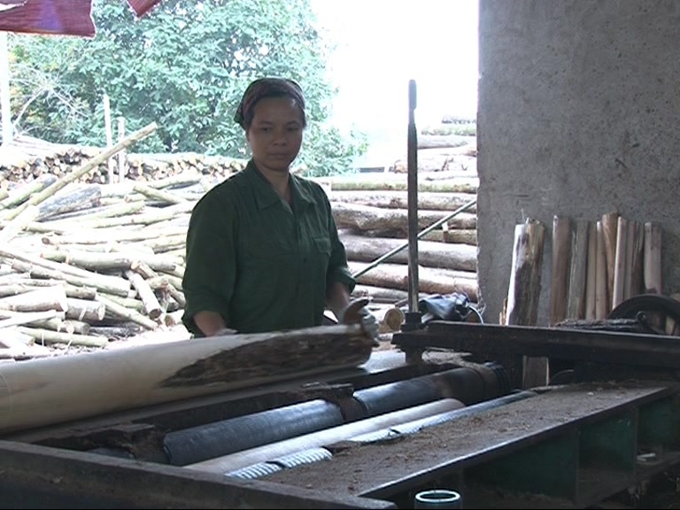 Người phụ nữ làm giàu từ mô hình xưởng bóc ván