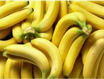 Giải pháp mới kéo dài thời gian bảo quản chuối Giải pháp mới kéo dài thời gian bảo quản chuối