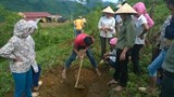 Lai Châu: Dạy nghề cho lao động nông thôn gắn với thực tế sản xuất