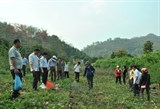 Triển khai các giải pháp để đào tạo nghề nông nghiệp cho lao động nông thôn đạt hiệu quả