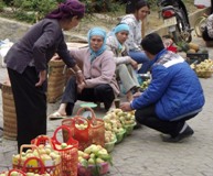 Lào Cai: Đào Pháp trúng mùa, được giá