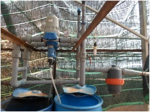 Lâm Đồng: Nông dân sáng tạo phương pháp tưới nước tiết kiệm