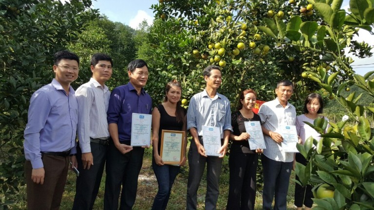 Hà Tĩnh: Phát triển thâm canh cam theo VietGAP