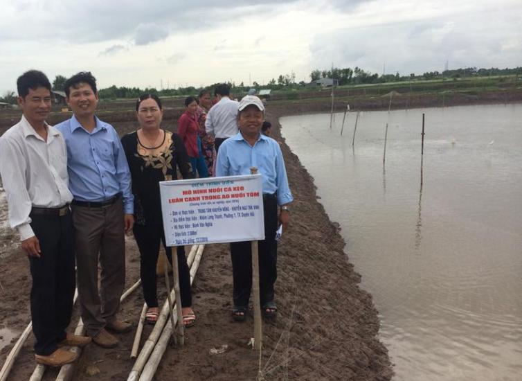   Các đại biểu tham quan mô hình nuôi cá kèo luân canh trong ao nuôi tôm tại Thị xã Duyên Hải, Trà Vinh