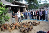 Dự án “Xây dựng mô hình sản xuất giống gia cầm cho các tỉnh miền núi biên giới Bắc” góp phần phòng chống bệnh cúm gia cầm