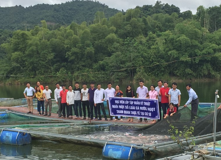 Học viên tham quan mô hình nuôi cá diêu hồng trong lồng bè