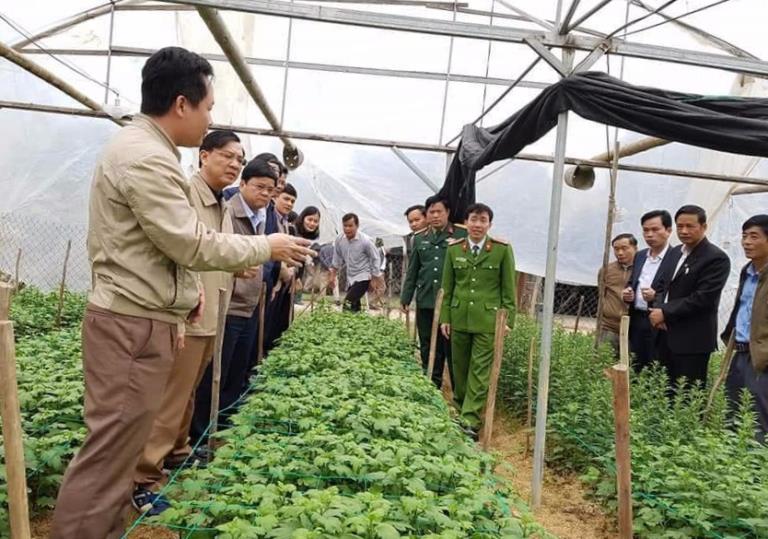 Hà Tĩnh: Nông dân Thôn Xuân Sơn chăm sóc hoa cúc đón Tết