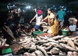 Myanamar: Giá trị xuất khẩu thủy sản phá vỡ kỷ lục 20 năm qua