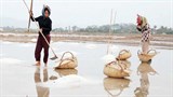 Campuchia: Mưa lớn gây thất thu cho ngành công nghiệp muối ở Kep và Kampot 