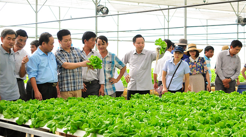 Đà Nẵng: Diễn đàn ”Ứng dụng công nghệ cao trong sản xuất nông nghiệp thích ứng biến đổi khí hậu khu vực Duyên hải Nam Trung Bộ”