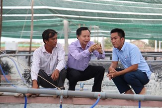 Giải pháp nuôi tôm sú, tôm thẻ đạt hiệu quả cao và bền vững vùng Đồng bằng sông Cửu Long
