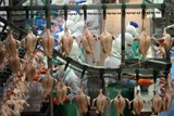 Trung Quốc chấp thuận nhập khẩu gà từ Thái Lan với giá tăng