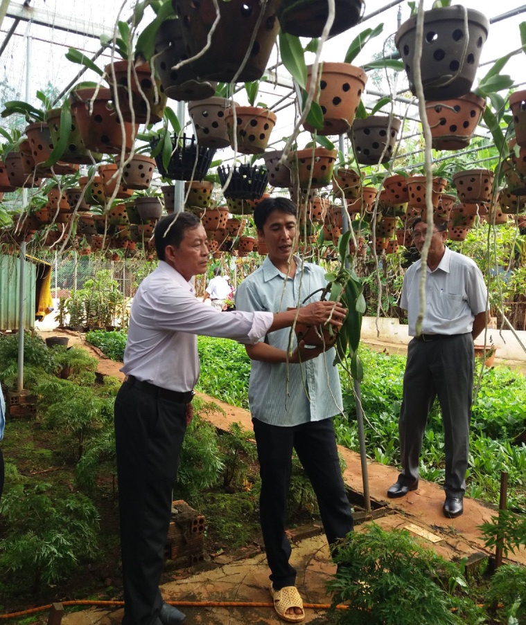 Anh Sang (giữa) chia sẻ kinh nghiệm trồng lan cho khách đến tham quan, học tập.