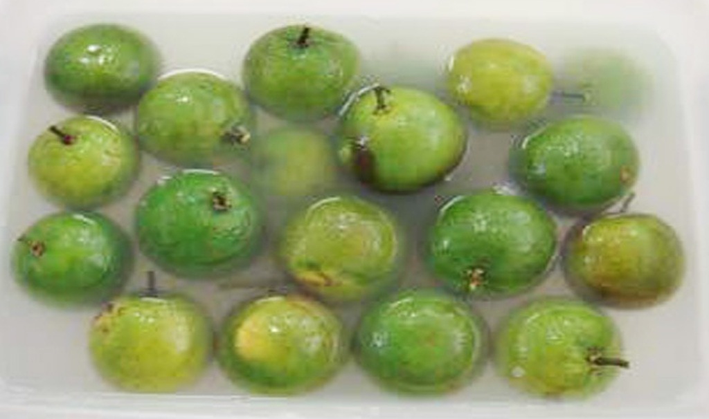 Một số tiến bộ kỹ thuật bảo quản sản phẩm cây ăn quả có múi sau thu hoạch