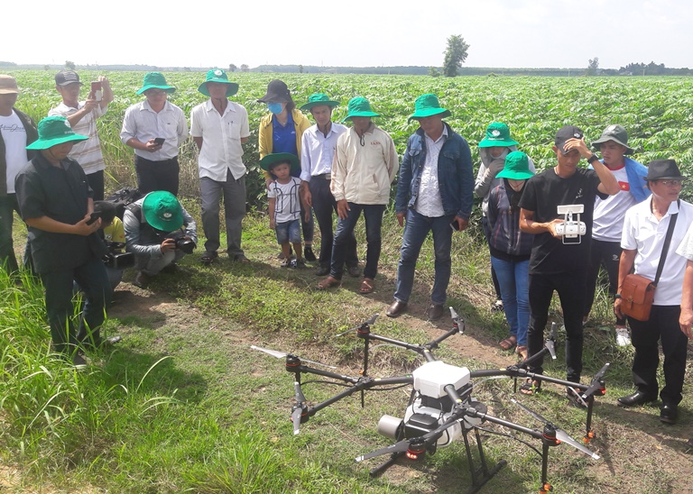 Tây Ninh: Sử dụng máy bay không người lái (drone) để quản lý dịch hại và sâu bệnh