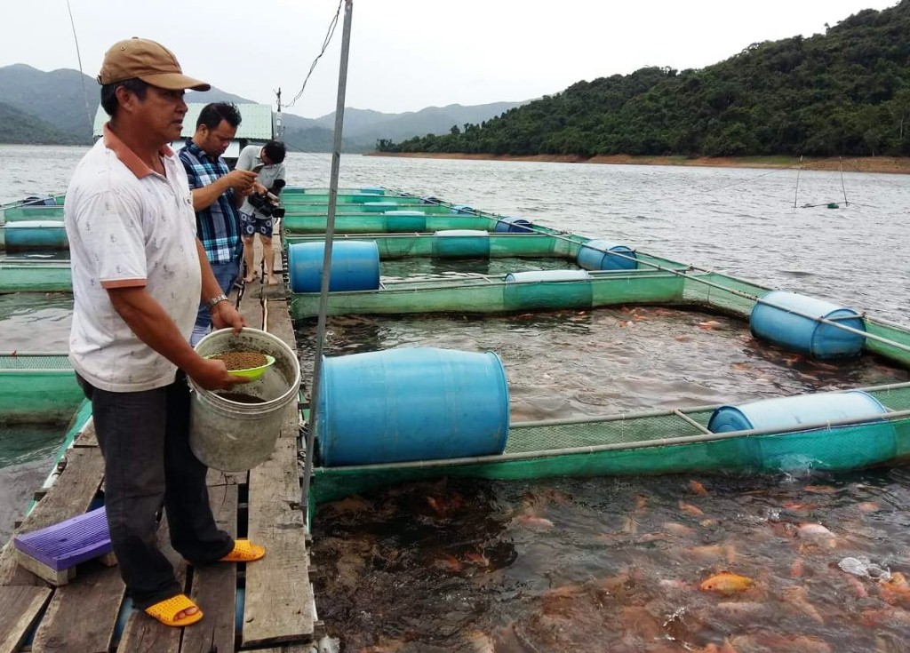 Bình Định: Khuyến khích nuôi cá lồng trên hồ chứa Hội Sơn
