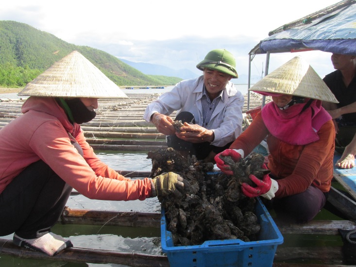 Hà Tĩnh: Nuôi thủy sản dưới chân núi Cầu Vọng, nhiều hộ dân xã Kỳ Hà khá lên