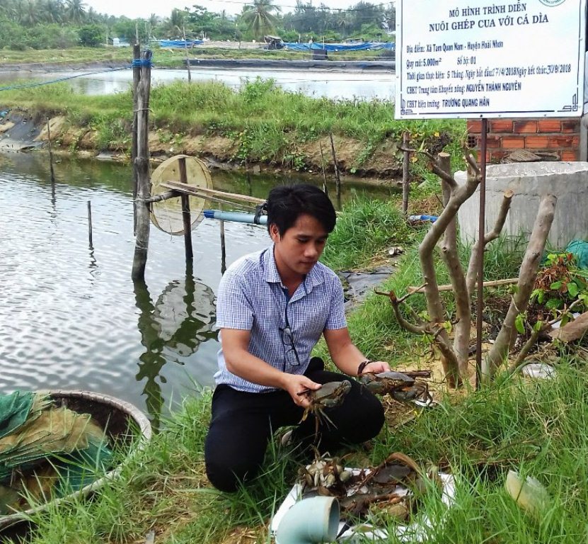 Một số kinh nghiệm nuôi ghép cua với cá dìa tại Bình Định (phần 2)
