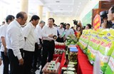 Bắc Giang: Tổng kết 10 năm chương trình xây dựng nông thôn mới 