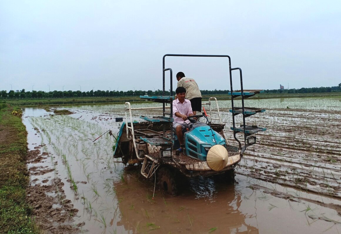 Hưng Yên: Hiệu quả của mô hình sử dụng mạ khay, máy cấy trong canh tác lúa