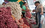 Indonesia: Điểm sáng cho hàng xuất khẩu của Thái Lan