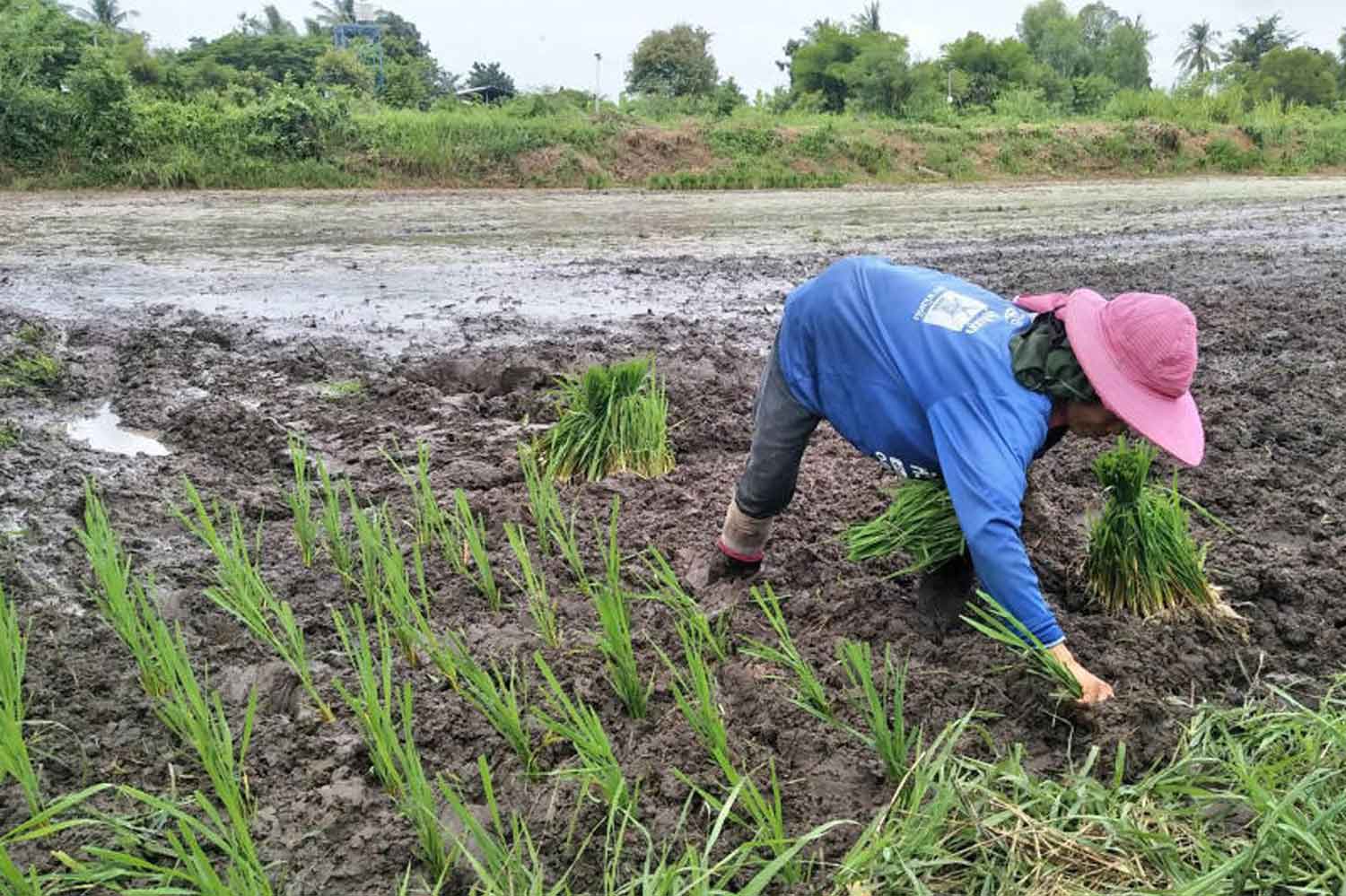 Một số lưu ý trong nuôi trồng thuỷ sản ứng phó thời tiết cực đoan