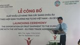 Một tuần, Việt Nam xuất khẩu 03 đợt hàng nông sản sang châu Âu theo Hiệp định EVFTA 