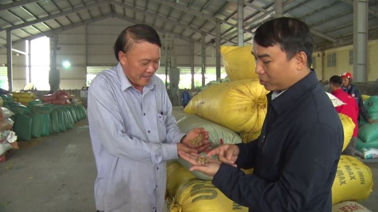 Quảng Trị: Dồn sức giúp bà con vùng lũ sấy lúa