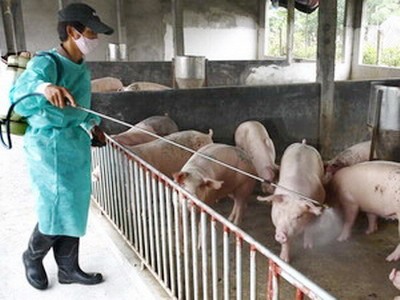 Tổng vệ sinh, sát trùng, phòng, chống dịch bệnh sau mưa lũ