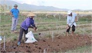 Tin về đoàn kiểm tra, đánh giá tình hình khôi phục sản xuất nông nghiệp sau mưa lũ của Bộ NN&PTNT tại Hà Tĩnh trên kênh VTV8 ngày 5/01/2021/