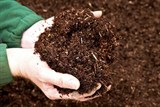 Kỹ thuật ủ phân hữu cơ từ phụ phẩm trồng trọt và chất thải chăn nuôi bằng chế phẩm vi sinh vật 