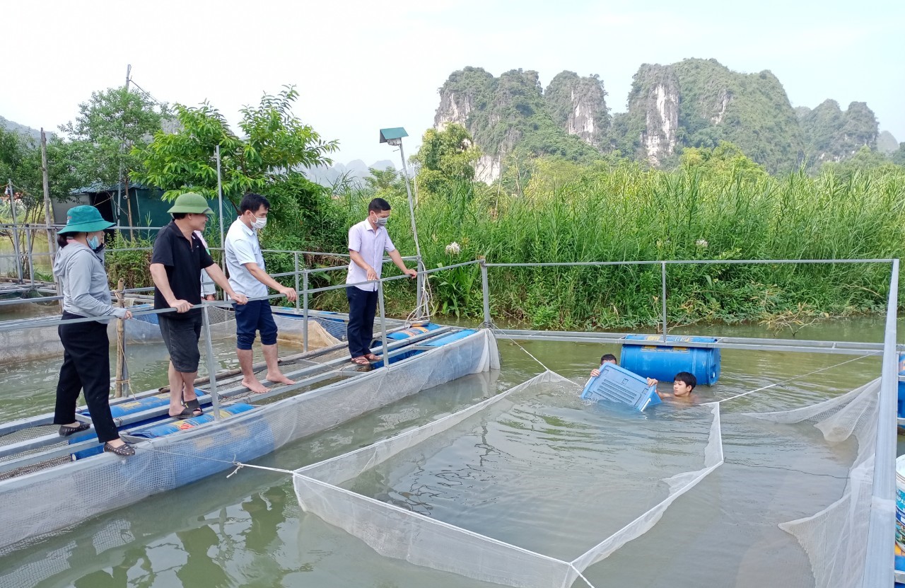 Lạng Sơn: Triển khai mô hình nuôi cá nheo Mỹ gắn với liên kết tiêu thụ sản phẩm