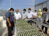 Ninh Thuận: Tập huấn kỹ thuật trồng trọt