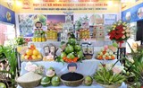 Bình Định: Ngày hội nông sản - ký kết nhiều hợp đồng hợp bao tiêu, tiêu thụ nông sản