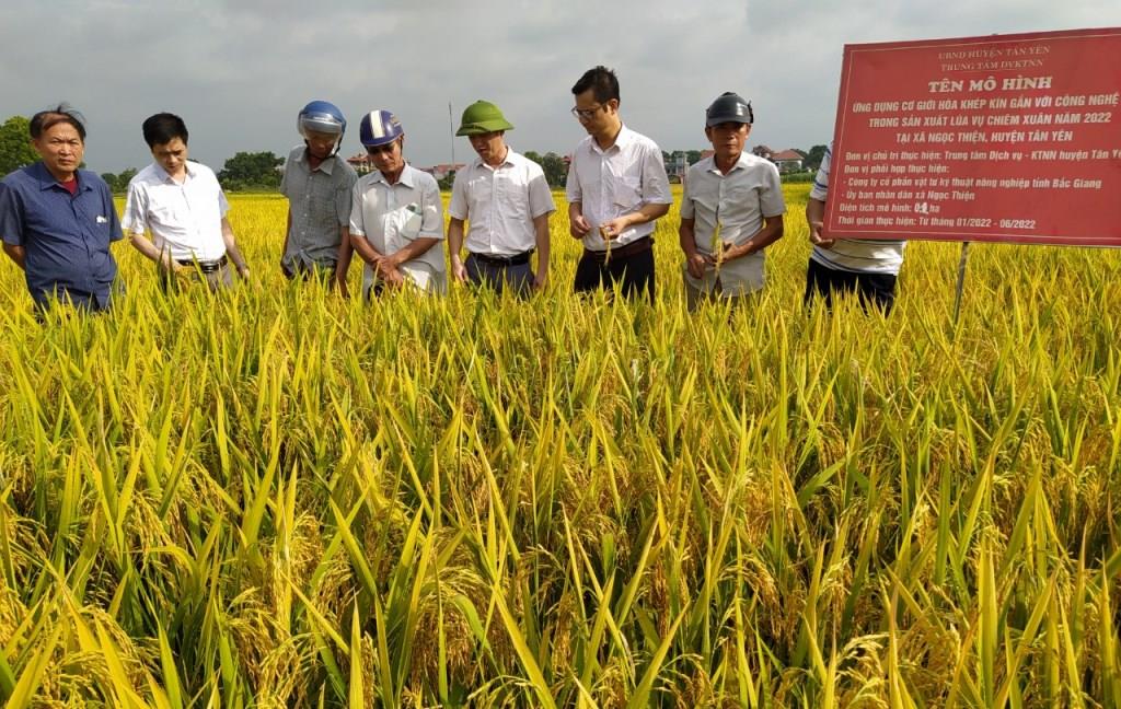 Bắc Giang: Ứng dụng cơ giới hóa khép kín gắn với công nghệ số trong sản xuất lúa cho nhiều hiệu quả