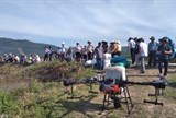 Phú Yên: Trình diễn gieo giống lúa, phun thuốc bằng thiết bị bay