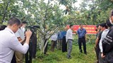 Hà Giang: Tọa đàm giải pháp phát triển bền vững cây ăn quả ôn đới