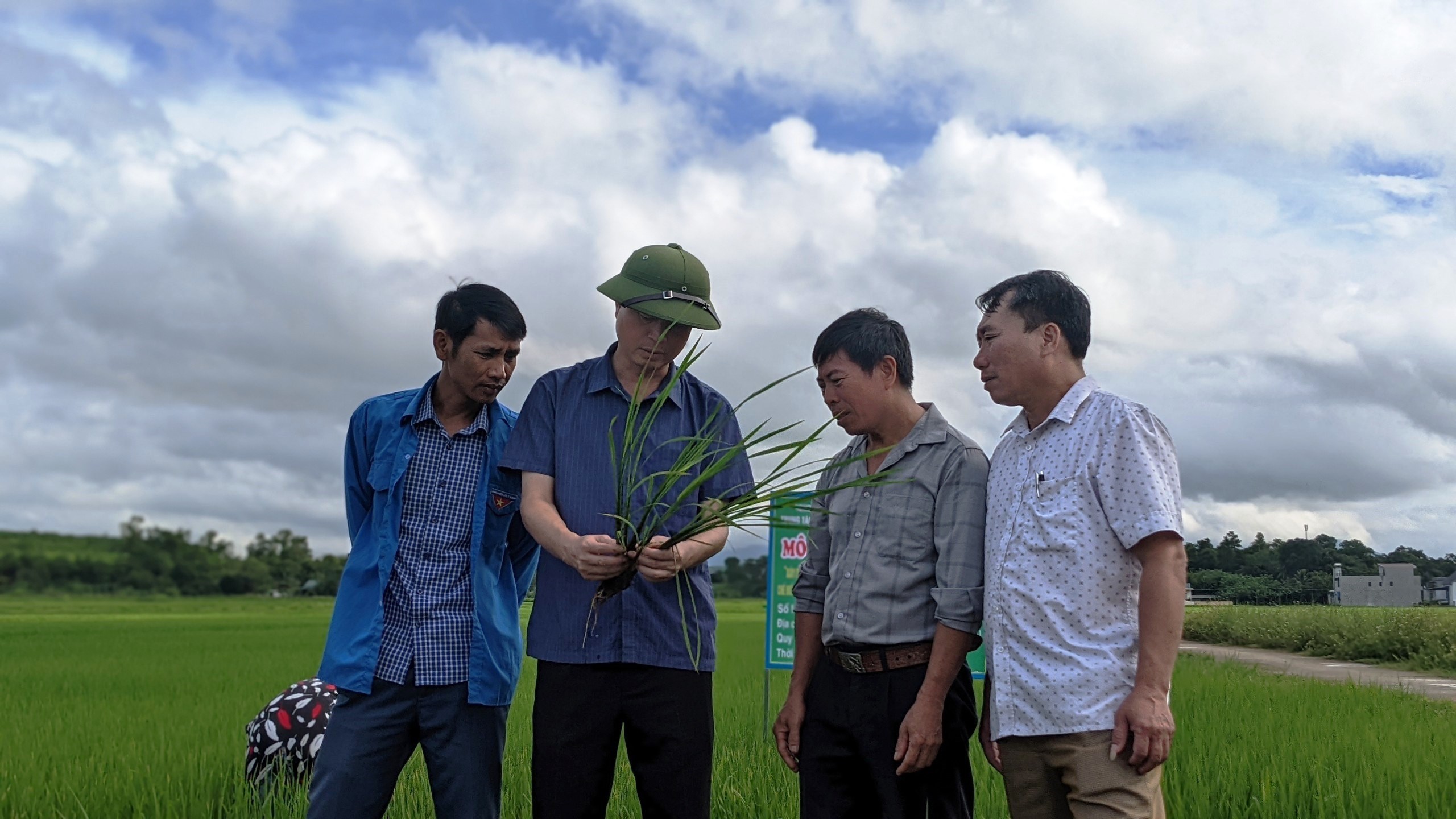 Thanh Hóa: Kiểm tra các mô hình sản xuất lúa vụ Mùa 2022